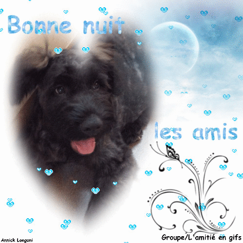 Bonne nuit 94